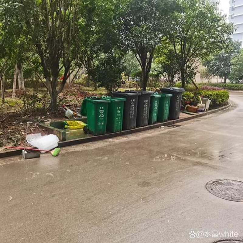 垃圾分类时代：分类垃圾桶成为城市文明的新标志